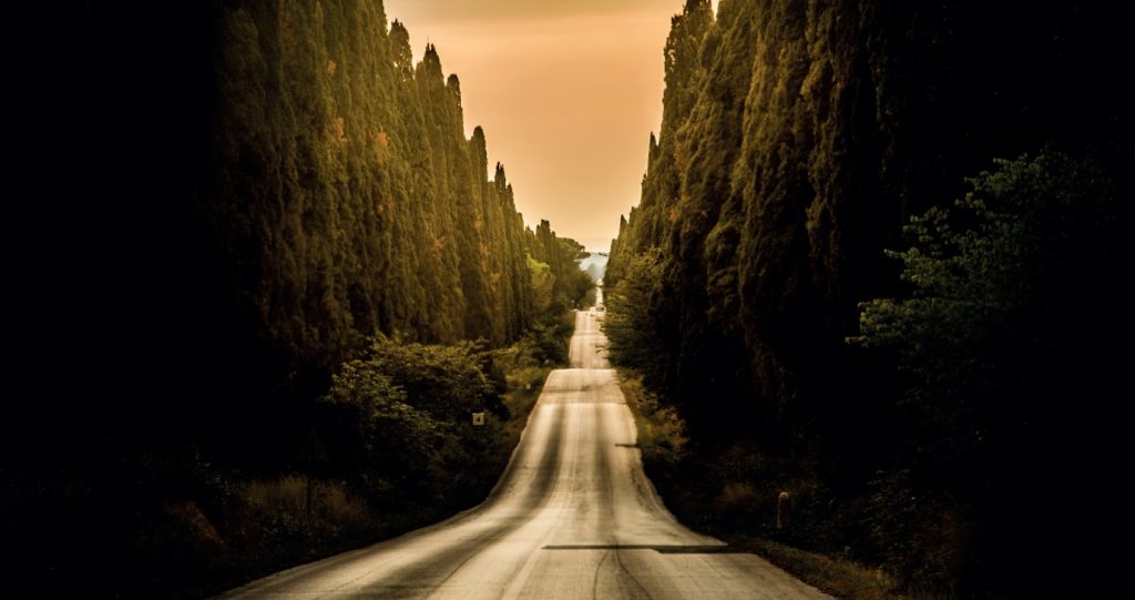 The famous avenue of cypresses in Bolgheri, Tuscany